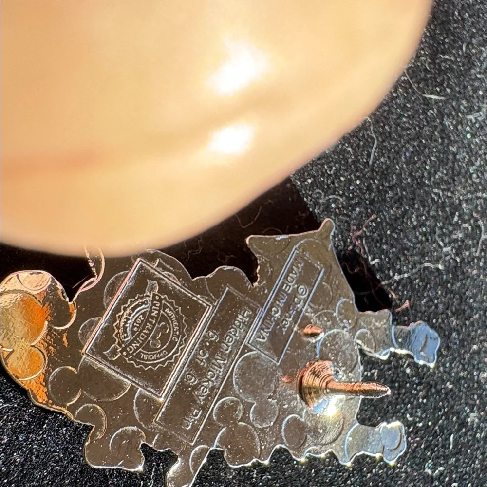 Disney Hidden Mickey 2019 Teddi Barra Pin Country Bears Jamboree Pin